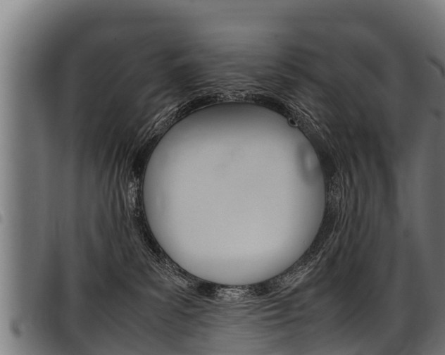 X0000098020139200803280801