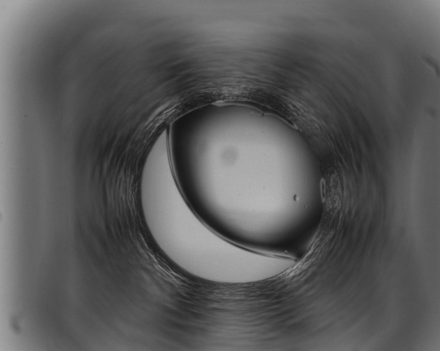 X0000098020140200803280801