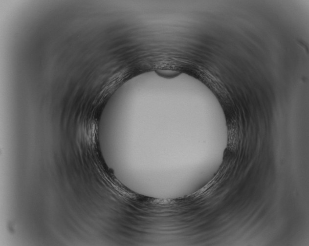 X0000098020142200803280801