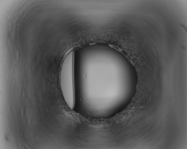 X0000098020144200803280801