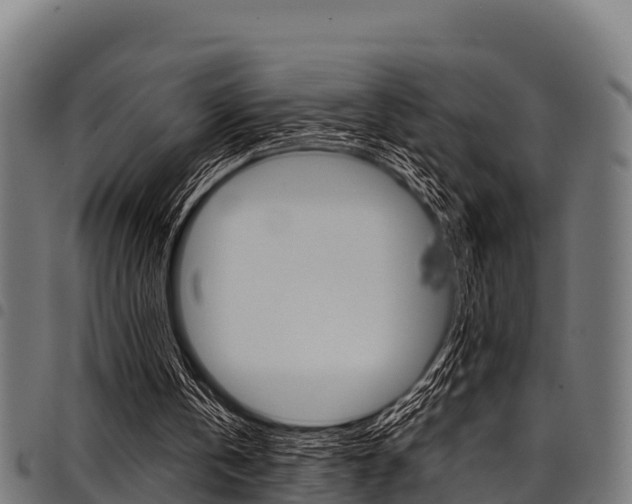 X0000098020146200803280801