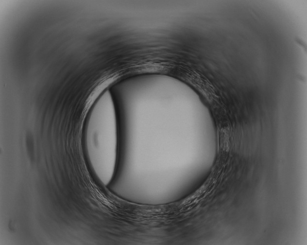 X0000098020147200803280801