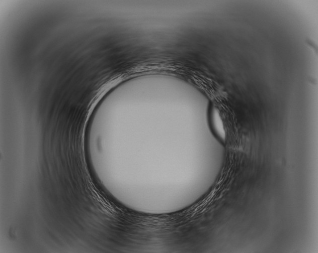 X0000098020148200803280801
