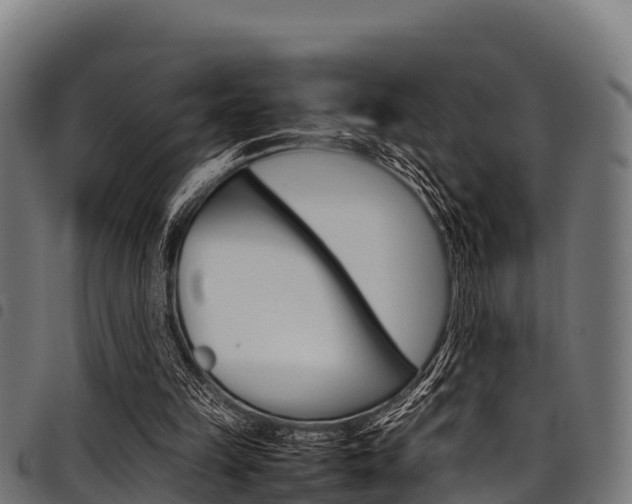 X0000098020149200803280801