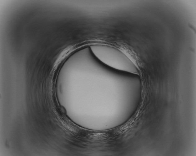 X0000098020151200803280801