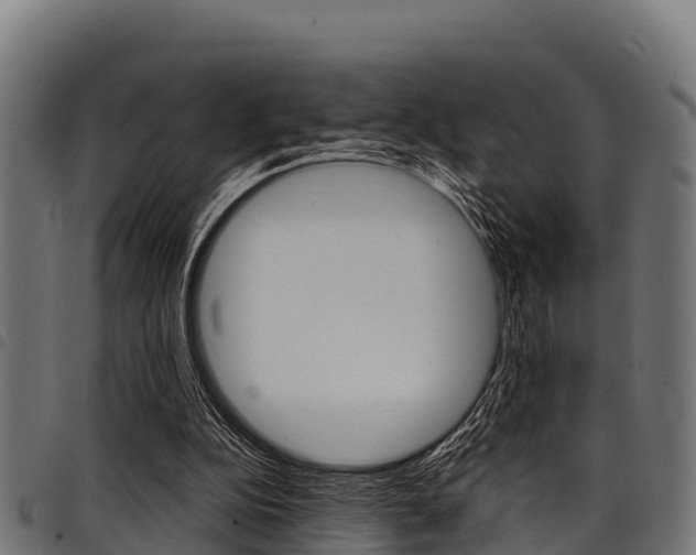X0000098020152200803280801