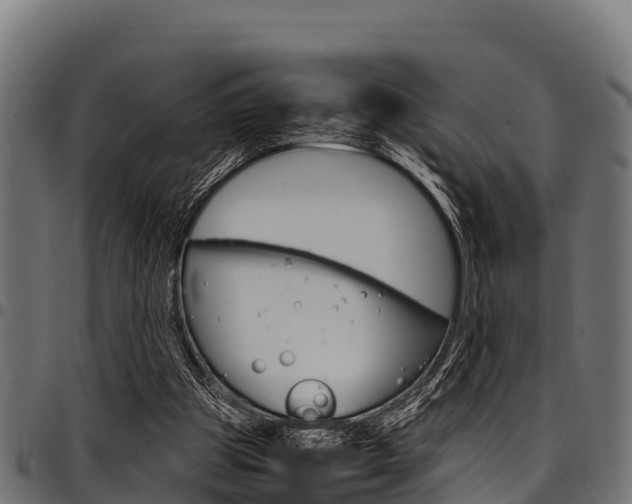 X0000098020153200803280801