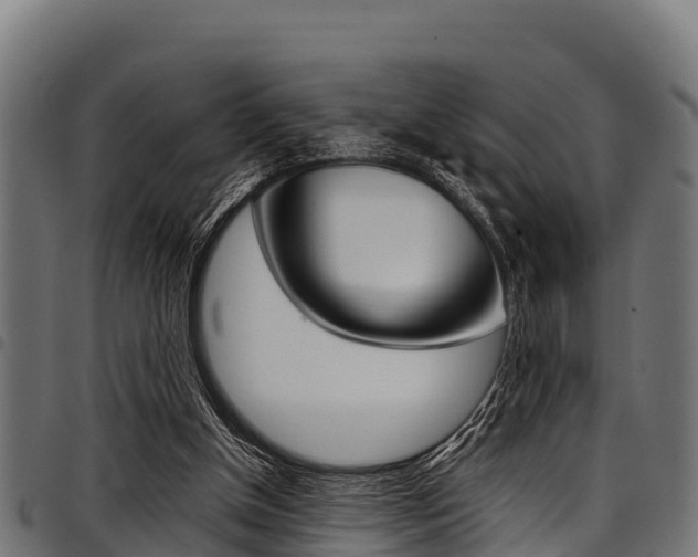 X0000098020154200803280801