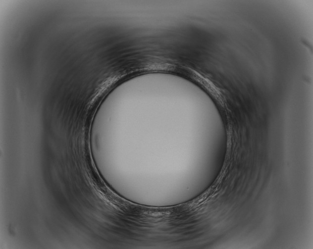 X0000098020155200803280801