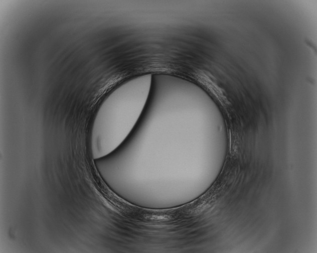 X0000098020157200803280801