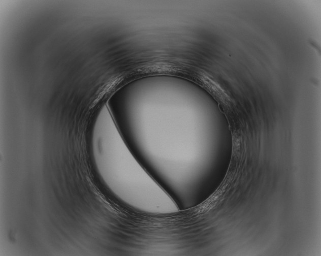 X0000098020158200803280801