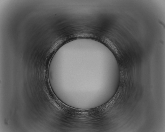 X0000098020159200803280801