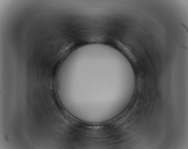 X0000098020161200803280801