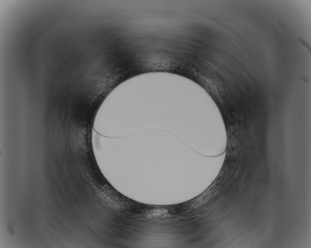 X0000098020162200803280801