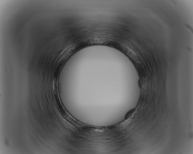 X0000098020166200803280801