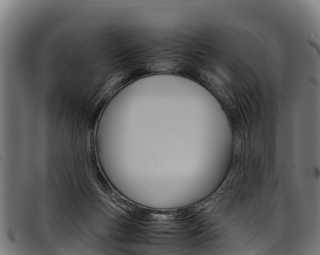 X0000098020167200803280801