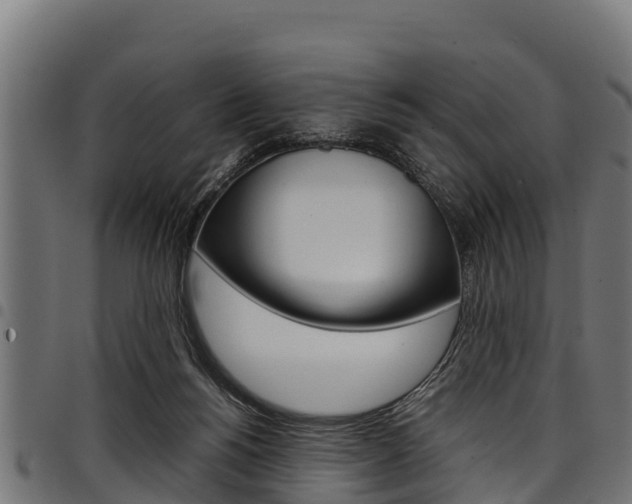 X0000098020168200803280801