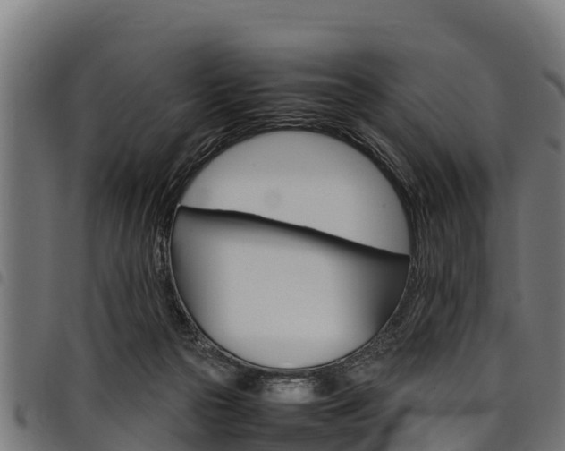 X0000098020169200803280801