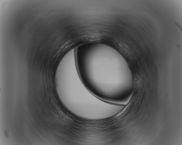 X0000098020170200803280801