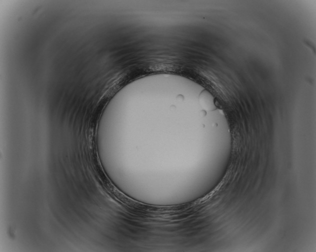 X0000098020171200803280801