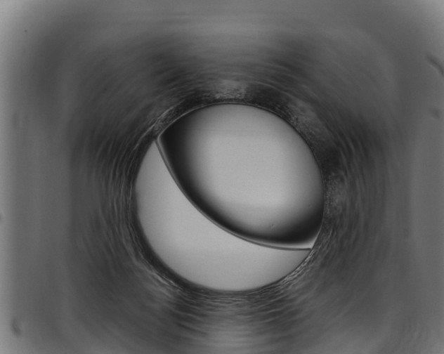 X0000098020172200803280801