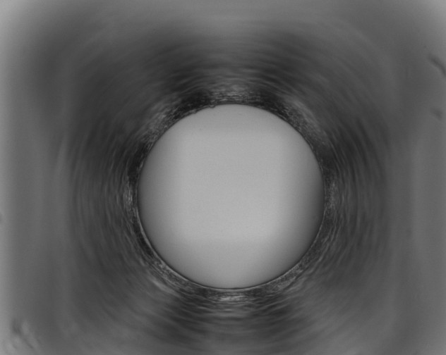X0000098020173200803280801