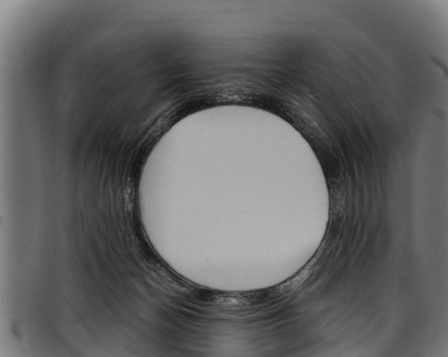 X0000098020174200803280801