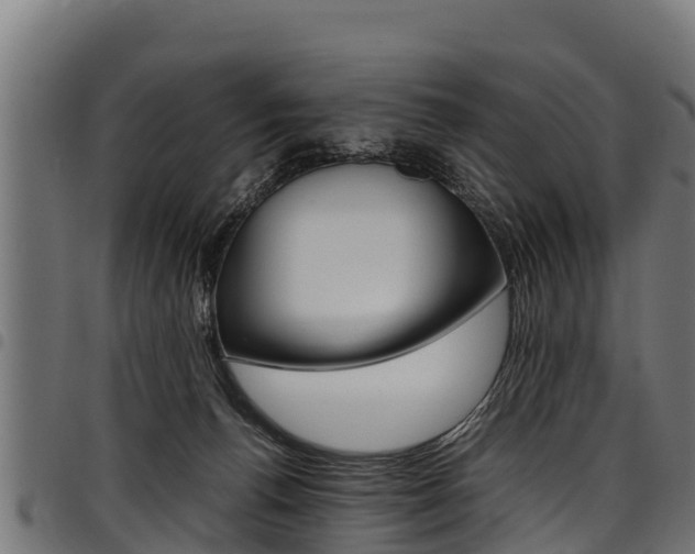 X0000098020176200803280801