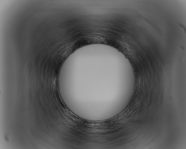 X0000098020177200803280801