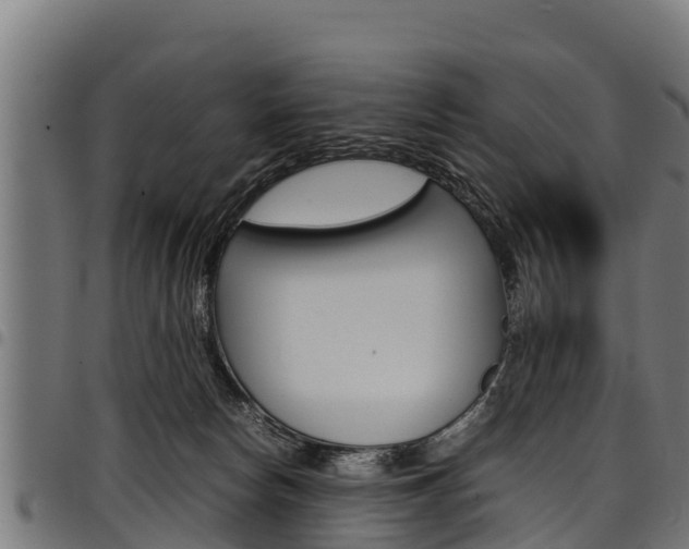 X0000098020178200803280801