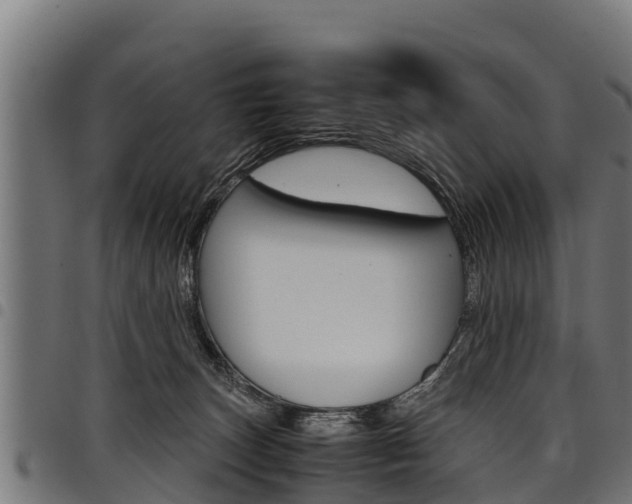 X0000098020179200803280801