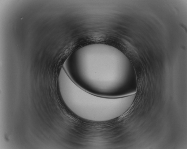 X0000098020180200803280801