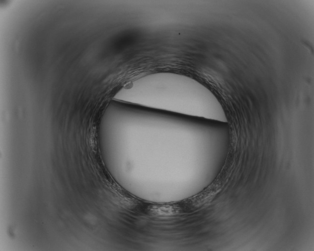 X0000098020181200803280801