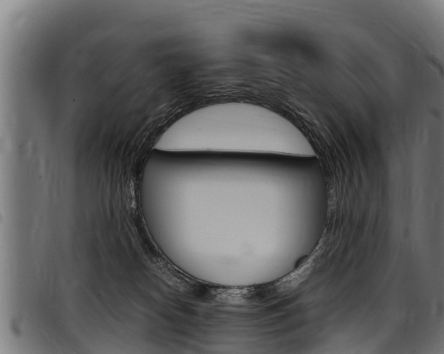 X0000098020182200803280801