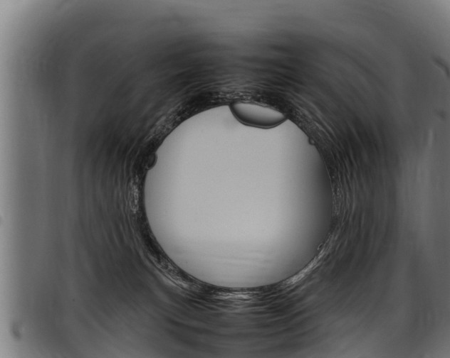 X0000098020183200803280801