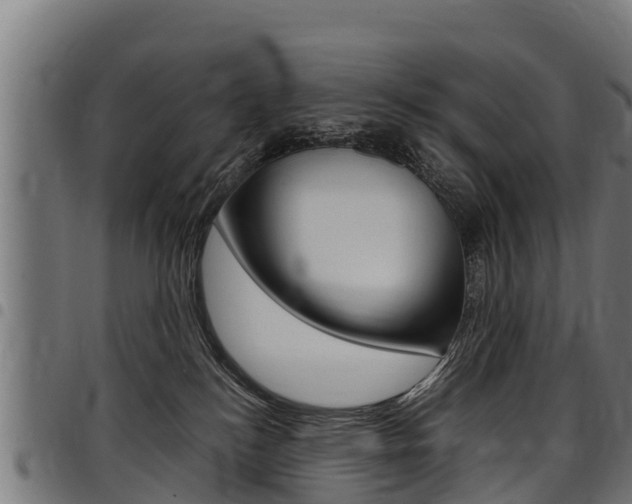 X0000098020184200803280801