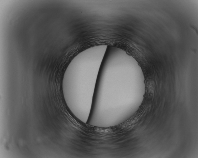 X0000098020185200803280801