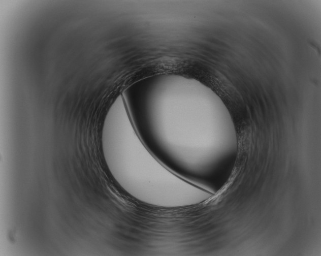 X0000098020186200803280801