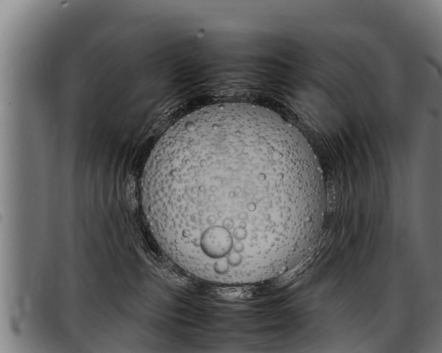 X0000098020187200803280801