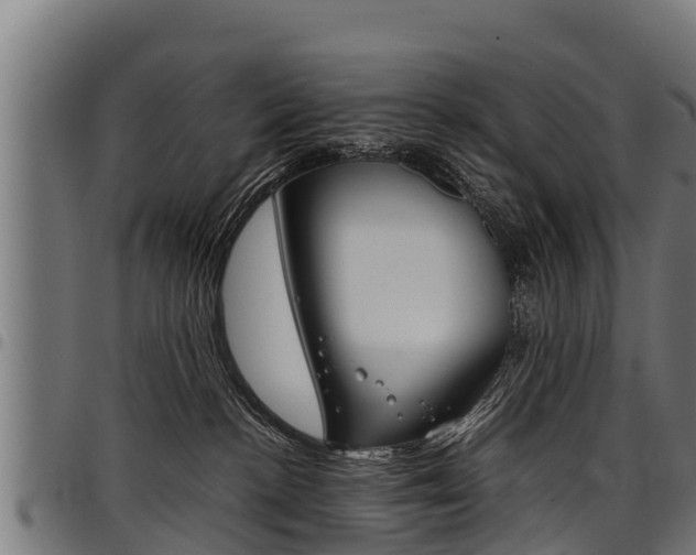 X0000098020188200803280801