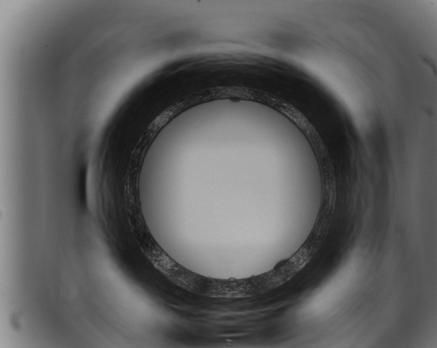 X0000098020189200803280801
