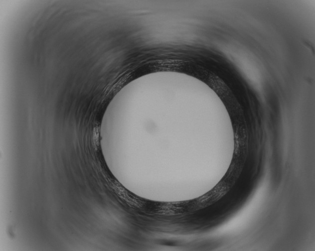 X0000098020190200803280801
