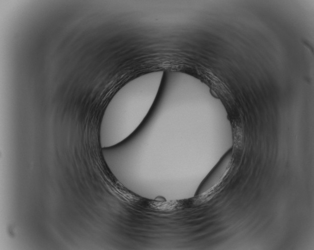X0000098020191200803280801