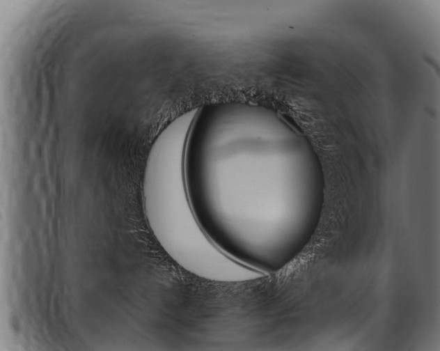 X0000098020192200803280801