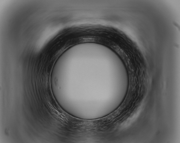 X0000098020194200803280801