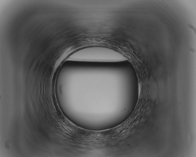 X0000098020195200803280801