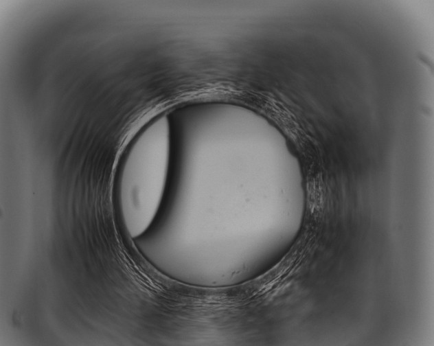 X0000098020196200803280801