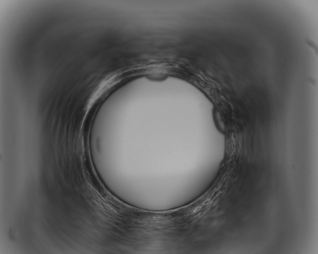 X0000098020198200803280801