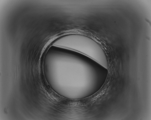 X0000098020200200803280801