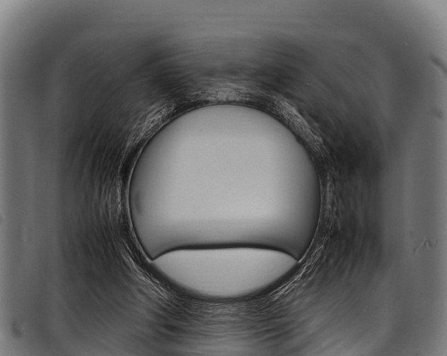 X0000098020202200803280801